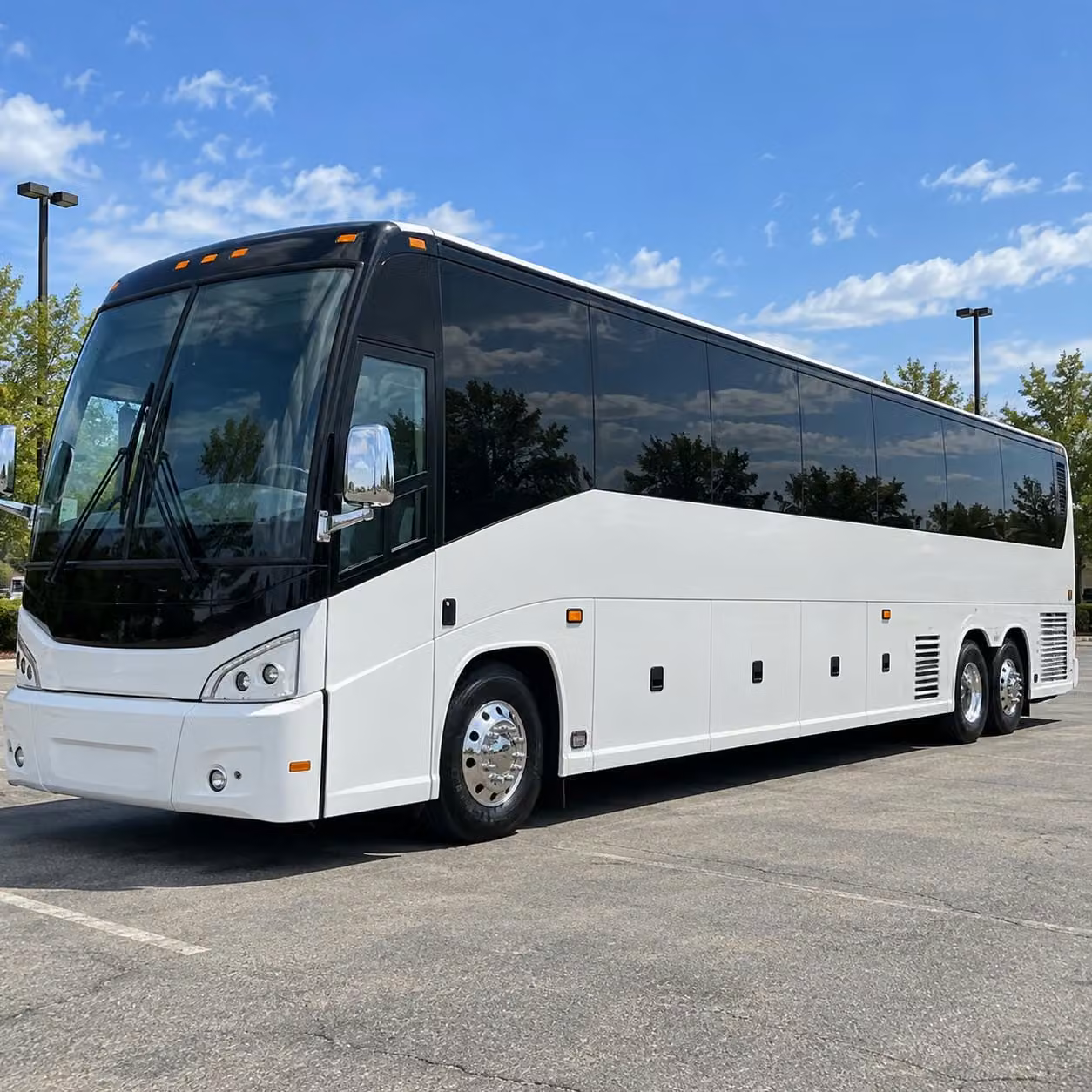 let leaguecitycharterbus com handle the logistics for galveston island field trips